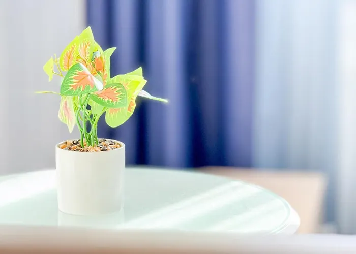 Liam Leo By Ca-sa Check *